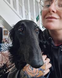 Lilith, 10 months. Sweet and sociable ✨