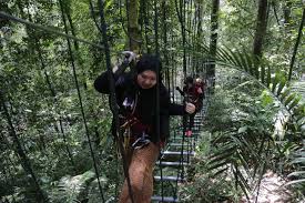 I was terrified when my boss told us that one of the activities during the retreat will be skytrex adventure. Skytrex Shah Alam Dibuka Kembali Pada 2024 Selangorkini
