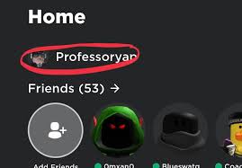 Any player can change their display name for no cost. I Had Already Changed My Username But Why Is My Previous Username Still There Roblox