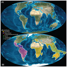 Image result for Helixanthera kirkii