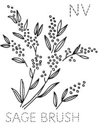 We did not find results for: Turkey Feathers Nevada Sage Brush
