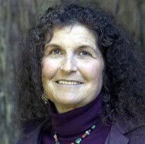 Women's Institute Distinguished Lecture Series — Chatham University Women's  Institute