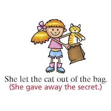 Idiom Let The Cat Out Of The Bag English Idioms English Phrases Idioms