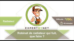 Robinet De Radiateur Qui Fuit Que Faire Youtube
