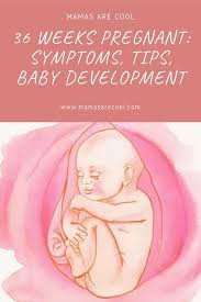 36 Weeks Pregnant 36 Weeks Pregnant Baby Development Pregnant