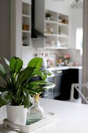 Check spelling or type a new query. The Reveal Of Our Black White And Gold Kitchen Swoon Worthy