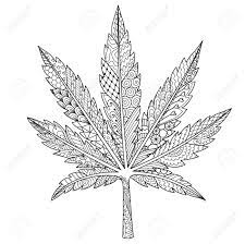 Free download adults coloring sheet of weed. Line Art In Marijuana Cannabis Leaf Or Weed For Adult Coloring Book Coloring Page Print On Product And Other Design Element Vector Illustration Royalty Free Cliparts Vectors And Stock Illustration Image 119694931