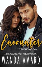Encounter (With the Bad Boy, #1) by Wanda Amard