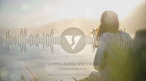 6frame is a verified creator on velosofy, and they have put together a unique visualize that is specially round audio spectrums are popular because they offer a simple way to visualize the music without taking away from it. Free Audio Spectrum Music Visualizer After Effects Template