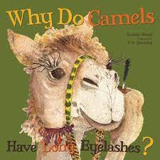 They do have very large eyes that are very. Why Do Camels Have Long Eyelashes Tg Tjornehof 9781486705559