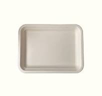 Econtainer TR15 Sugarcane Bagasse Rectangular Serving Tray Compostable and  Eco-friendly [50 pcs.]