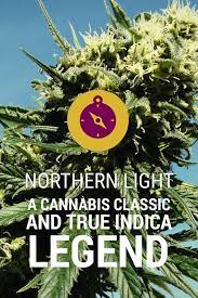 Pin En Northern Light