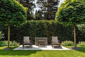 Wer nicht lange warten und viel geld ausgeben will, sollte schnellwachsende bäume und sträucher pflanzen. Schnell Wachsende Baume Gartentipps Von Meister Meister