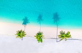 Buchen sie jetzt ihren traumurlaub auf den niederländischen antillen! Beste Reisezeit Abc Inseln Alle Wetter Und Klimainfos Im Uberblick