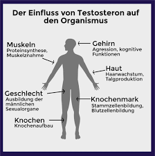 Scheu und passiv von natur, wartet er gewöhnlich, bis die frau den ersten schritt tut. Wann Ist Ein Mann Ein Mann