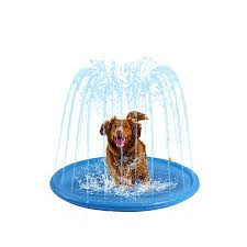 Unfold the mat and lay flat on the ground connect the mat to a garden hose adjust water pressure to raise or lower the spray height e. Top Paw Outdoor Sprinkler Splash Pad Dog Interactive Toys Petsmart