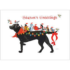Maybe you would like to learn more about one of these? Bird Dog Christmas Cards 10 Pk Tree Free Shop Eco Friendly Cards