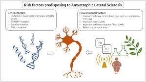 Als is a fatal neurodegenerative disorder characterized by loss of motor neurons, leading to muscle weakness and eventual paralysis. Ijms Free Full Text Risk Factors And Emerging Therapies In Amyotrophic Lateral Sclerosis