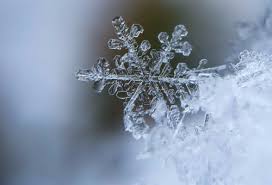 See more ideas about yoga meditation quotes, buddhist words, motivational poems. 32 Zitate Damit Du Deinen Inneren Frieden Findest Um Dich Besser Zu Fuhlen