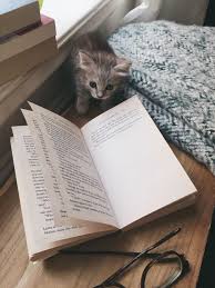 Ma Beaute Kitap Kurtlari Kitap Kedi