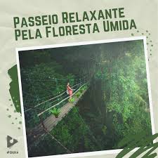 Vídeo hd com cachoeira em câmera lenta, floresta e lago, com sons da natureza e música relaxante para dormir. Musica Relaxante Acalmar A Mente E Relaxar By Relaxante Por Rafael On Tidal