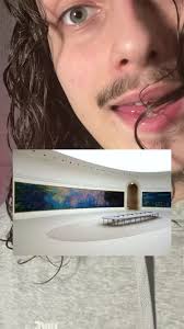 Il existe environ 250 tableaux pour la série des Nymphéas de Claude Mo...