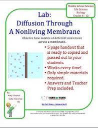 Diffusion Through A Non Living Membrane Teaching Biology Teaching Science Learning Science