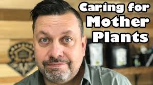 Do you need a different microbial regimen if you're growing with coco coir? 