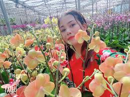 As with other common surnames, people having this surname are not necessarily related. Co Chá»§ VÆ°á»n Lan Háº±ng Nguyá»…n Chia Sáº» Kinh Nghiá»‡m ChÄƒm Soc Hoa Lan