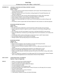 Business Expert Resume Samples Velvet Jobs