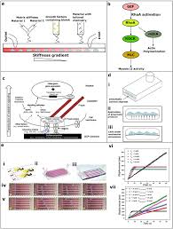 The problem that a blue dashed line is drawn by an orange color on excel 2016. 3d Printed Microfluidic Devices A Review Focused On Four Fundamental Manufacturing Approaches And Implications On The Field Of Healthcare Springerlink
