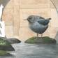 Medford Armory Holiday Market — Orphan Girl Fine Art event image
