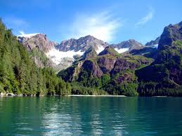 You can use this swimming information to make your own swimming trivia questions. Alaska Has How Many Official Languages Trivia Questions Quizzclub