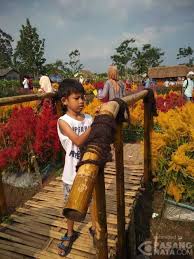 Tersedia dengan gaya sembilan tema yakni, taman bertema air, taman mawar, taman gaya perancis, bali, taman. Berwisata Ke Taman Bunga Di Kab Pandeglang Jadi Pilihan Wisata Pasangmata