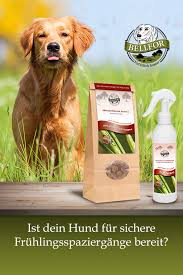 Form_title=pest control services form_header=having issues with pests in your home? Giardia In Dogs