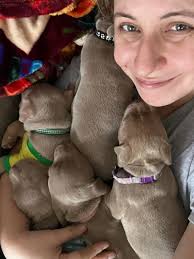 They are so determined and it's adorable!