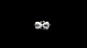 Black and white wallpaper 1920x1080. 48 Cute Wallpapers Black And White On Wallpapersafari