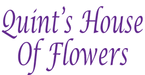 House of flowers promotion codes are updated daily. Quincy Florist Flower Delivery By Quint S House Of Flowers