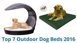 It'll put up a fight against even the strongest of dogs. 7 Best Outdoor Dog Beds 2016 Youtube