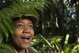 Asolo Conservatory's 'As You Like It' becomes Selby garden party