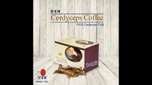 Que es y para que sirve el cafe lingzhi 3 en 1 quiero que sepas que seré lo mas sincero contigo y te explicare todo resumido para no llenarte de información que muchas veces no sirve. Beneficios De Consumir El Cordyceps Mr Erick Garcia Youtube