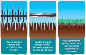 Slice seeding is the fastest, most effective method of seeding and it is the only method that turf care enterprises will guarantee providing you adhere to the directions for care, especially watering. Slitseeding Nutri Lawn