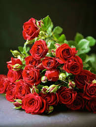 At jj's house, you'll find the high quality, inexpensive flowers you're searching for to fill your bridal bouquets, boutonniere, wrist corsages, and so much more. Where Can You Get A Dozen Roses For 7 99 Every Day Mile High On The Cheap
