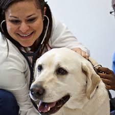 TOP 10 BEST Low Cost Pet Vaccinations near Lawrenceville, NJ