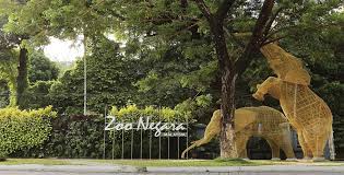 Zoo negara zoo negara hulu kelang, ampang 68000 malaysia. Travelog Zoo Negara Malaysia Ticket Travelog