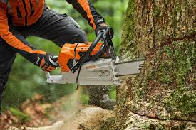 Tronçonneuse MS 881 STIHL - La plus puissante au monde | KING VERT