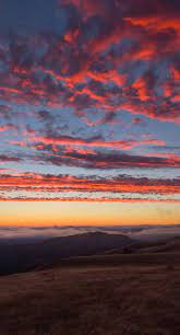 Batang pohonnya juga besar dan kuat. Pemandangan Langit Senja Wallpaper Sc Iphone8plus Pemandangan Wallpaper Alam Fotografi Alam