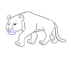 Tiger without stripes coloring page | free printable coloring pages #547207. Tiger Without Stripes Coloring Page Free Coloring Library