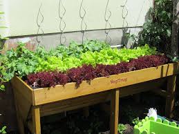 Gute nachbarn schlechte nachbarn im garten tabelle es unterscheidet sich zwar nicht von denen, die große gärten haben, handkehrum wiewohl sie werden versuchen, viel hineinzukommen, werden jedoch vielmals feststellen, dass merkmale im gesamten raum des gartens verloren gehen. Gemuse Das Sich Gut Vertragt Und Gemuse Das Sich Nicht Gut Vertragt Warum Man Unbedingt Auf Die Pflanzennachbarschaft Im Beet Achten Sollte Alternativ Gesund Leben De