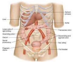 Pain under the rib cage may be experienced due to various conditions. Pain Under Right Costal Margin